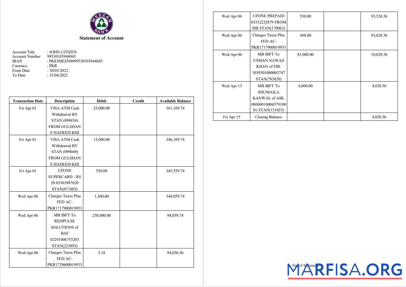 Realistic Pakistan Meezan bank statement word 2 pages download for verification